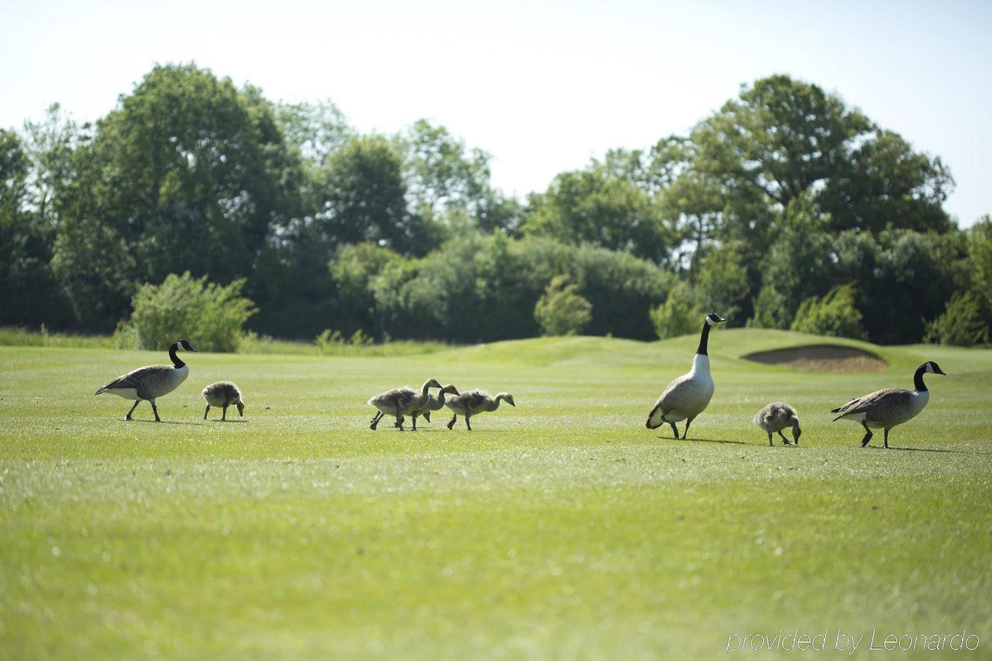 Sandford Springs Hotel And Golf Club Kingsclere Exterior foto